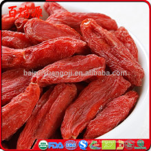 Frutas secas orgânicas de alta qualidade chinesas das bagas de Goji do Ningxia